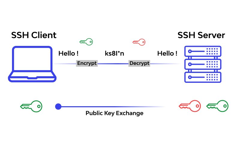 main_pic_ssh